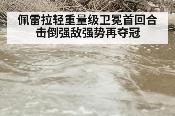 佩雷拉轻重量级卫冕首回合击倒强敌强势再夺冠